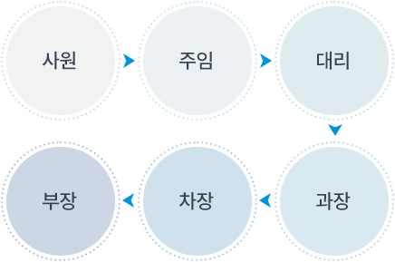 직급체계