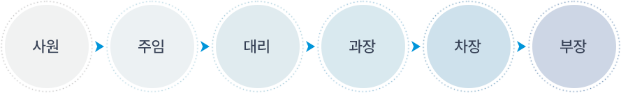 직급체계